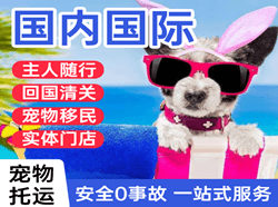 大连周水子机场快递国际宠物托运 【国